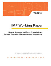 Natural disasters and food crises in low-income countries: macroeconomic dimensions